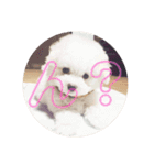 ぽっぷ（個別スタンプ：8）