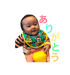 とらちゃんスタンプ③（個別スタンプ：2）