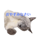 ベル＆エマ（個別スタンプ：6）