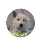 ジェイのスタンプ（個別スタンプ：7）