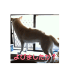 ジェイのスタンプ（個別スタンプ：9）