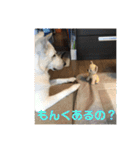 ジェイのスタンプ（個別スタンプ：30）