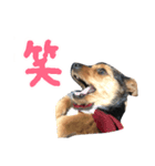 のんびりレゴくん（個別スタンプ：4）