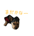 のんびりレゴくん（個別スタンプ：5）