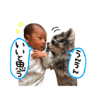 チビ大ちゃんスタンプ（個別スタンプ：13）