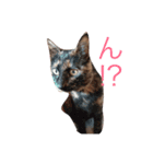 かわいいきゃっと（個別スタンプ：8）