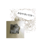 じゃんがりあんのまめ（個別スタンプ：3）
