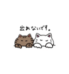 まろとふくのいろいろスタンプ（個別スタンプ：12）