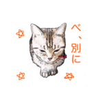 幸せを運ぶ猫（個別スタンプ：3）