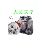 幸せを運ぶ猫（個別スタンプ：6）