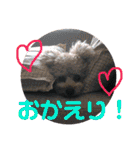 ココと愉快な仲間たち！（個別スタンプ：5）