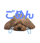 ココと愉快な仲間たち！（個別スタンプ：8）