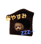 ココと愉快な仲間たち！（個別スタンプ：13）