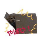 ココと愉快な仲間たち！（個別スタンプ：15）