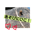 ココと愉快な仲間たち！（個別スタンプ：23）
