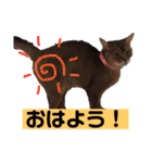 ココと愉快な仲間たち！（個別スタンプ：28）