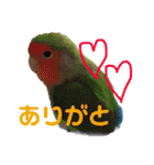ココと愉快な仲間たち！（個別スタンプ：32）