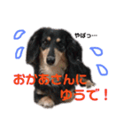 ココと愉快な仲間たち！（個別スタンプ：39）