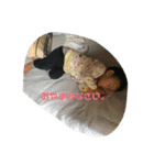 けーしとそーや（個別スタンプ：9）