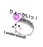はりちゃん16 harichan16（個別スタンプ：6）