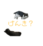 ロゼちゃん1（個別スタンプ：3）