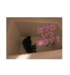 ロゼちゃん1（個別スタンプ：7）