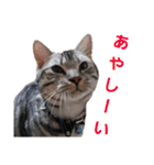 ぼく、ジーク！ 2（個別スタンプ：12）