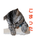 ぼく、ジーク！ 2（個別スタンプ：14）