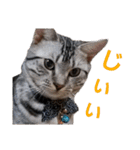ぼく、ジーク！ 2（個別スタンプ：15）