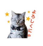 ぼく、ジーク！ 2（個別スタンプ：18）
