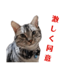 ぼく、ジーク！ 2（個別スタンプ：32）