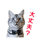 ぼく、ジーク！ 2（個別スタンプ：33）