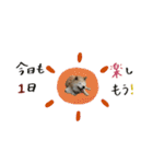 癒し犬すみれ＊ワン（個別スタンプ：2）