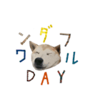 癒し犬すみれ＊ワン（個別スタンプ：3）