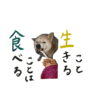癒し犬すみれ＊ワン（個別スタンプ：6）