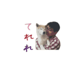 癒し犬すみれ＊ワン（個別スタンプ：14）