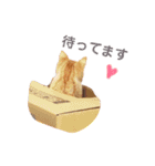 ネコの日常02♪（個別スタンプ：1）
