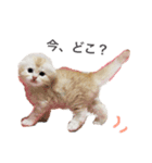ネコの日常02♪（個別スタンプ：3）