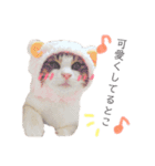 ネコの日常02♪（個別スタンプ：14）