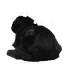 jack1（個別スタンプ：3）
