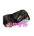 jack1（個別スタンプ：6）