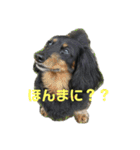 jack1（個別スタンプ：7）