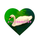 手書きのほのぼのスタンプ（個別スタンプ：5）