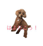 ララちん（個別スタンプ：3）