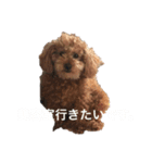 ララちん（個別スタンプ：4）