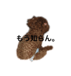ララちん（個別スタンプ：5）