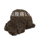 ララちん（個別スタンプ：7）