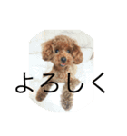 ララちん（個別スタンプ：11）