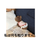 ララちん（個別スタンプ：13）