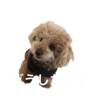 ララちん（個別スタンプ：16）